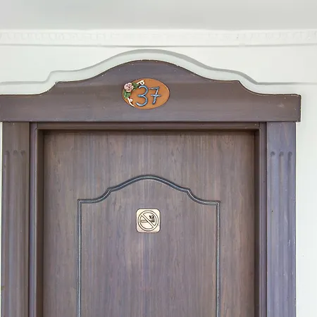 Hotel Art Pasitea