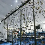 帕西提亚波西塔诺艺术酒店 酒店