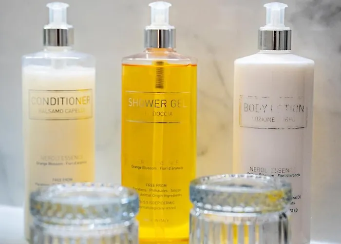 Art Pasitea Готель 4*