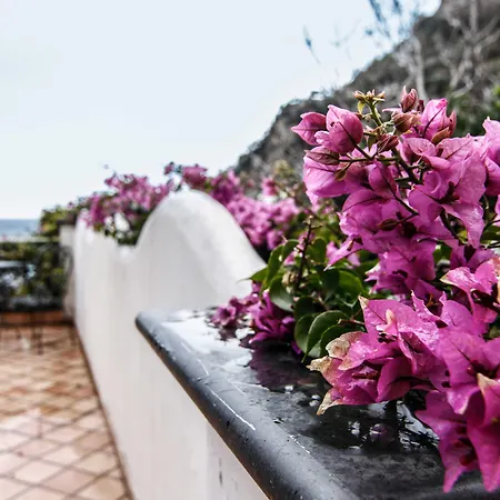 Art Pasitea Positano