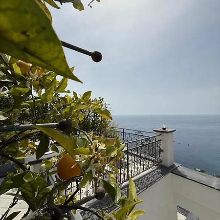 Art Pasitea Hotel 4*