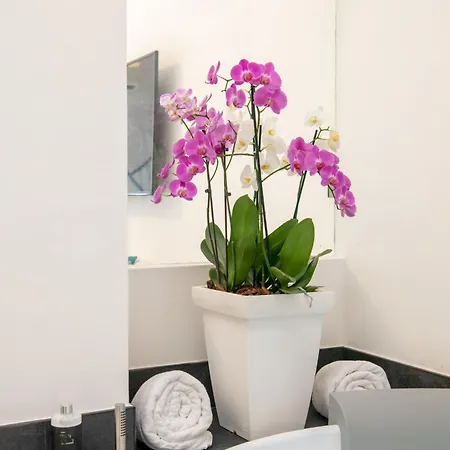 Art Pasitea Hotel